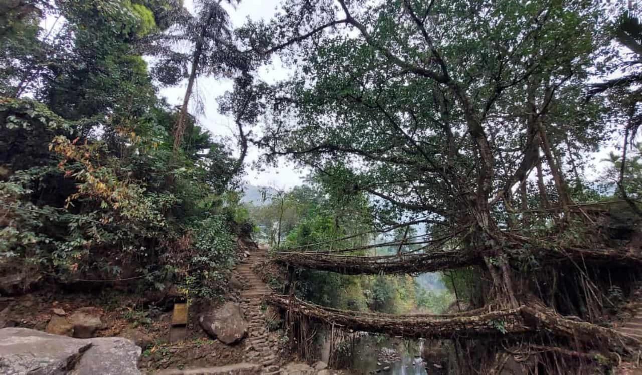 צ'ראפונג'י Odyssey Stays Nongriat - 3Kms Trek From Main Road מראה חיצוני תמונה