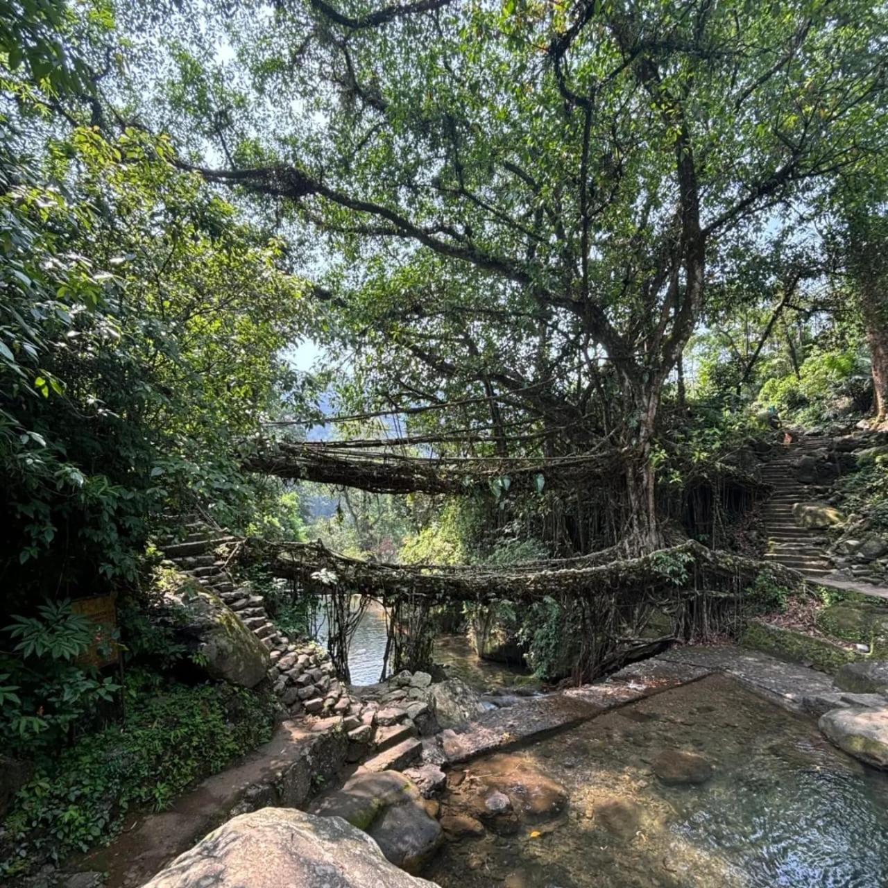 צ'ראפונג'י Odyssey Stays Nongriat - 3Kms Trek From Main Road מראה חיצוני תמונה